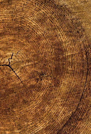 Log2